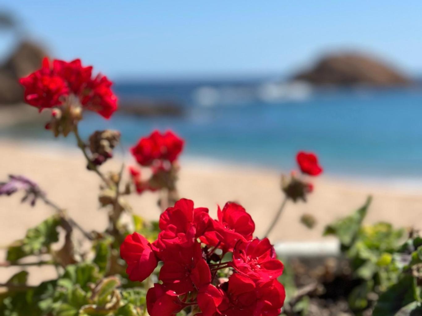 Appartement Atico Con Vistas Al Mar A Un Paso Del Centro à Blanes Extérieur photo