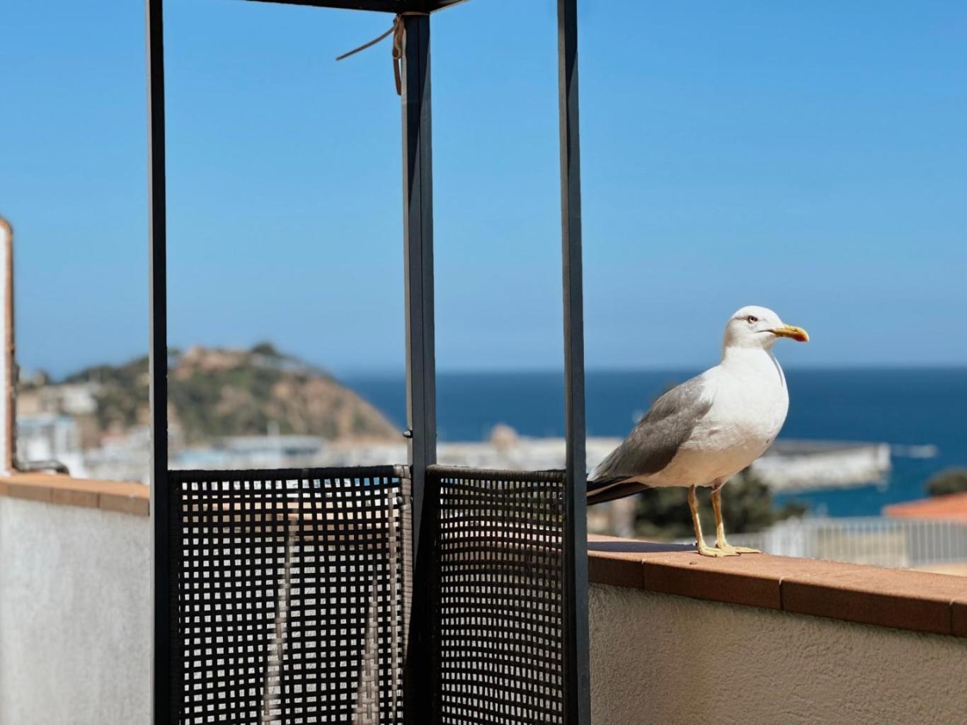 Appartement Atico Con Vistas Al Mar A Un Paso Del Centro à Blanes Extérieur photo